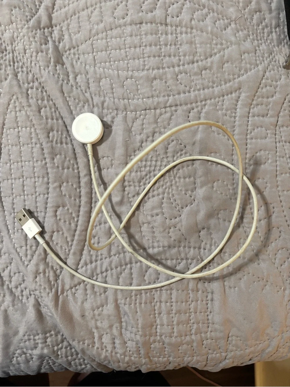 Apple Watch Series 6 40mm + Charger + 26 Bands